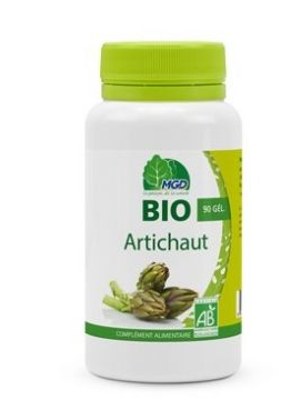 Mgd Artichaut Bio Pillulier 90Gél