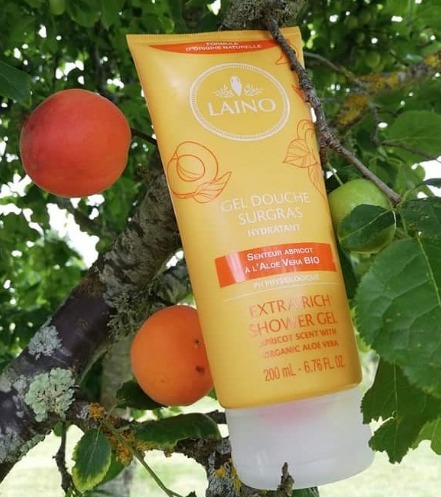 Laino Gel Douche Surgras Abricot Bio 200Ml